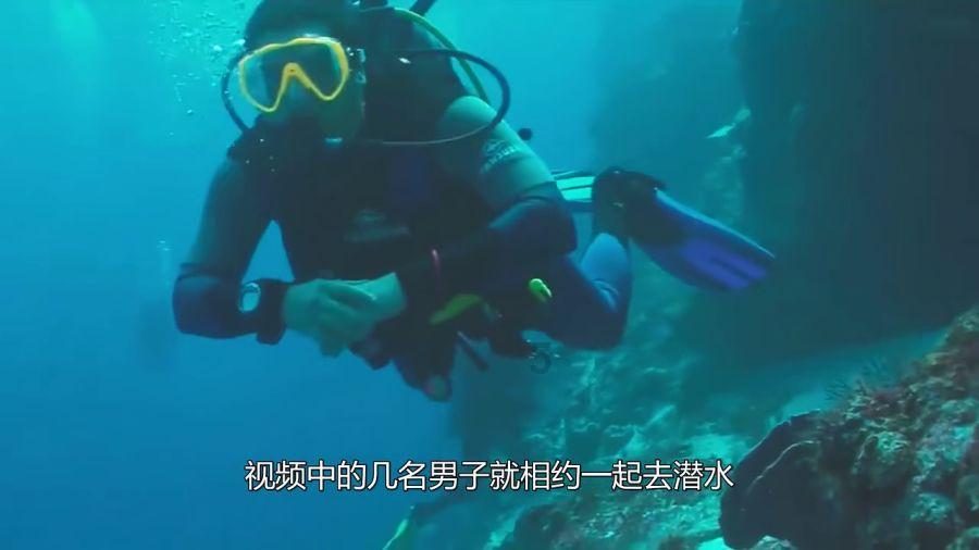 燃烧吧大脑免广告最新版
